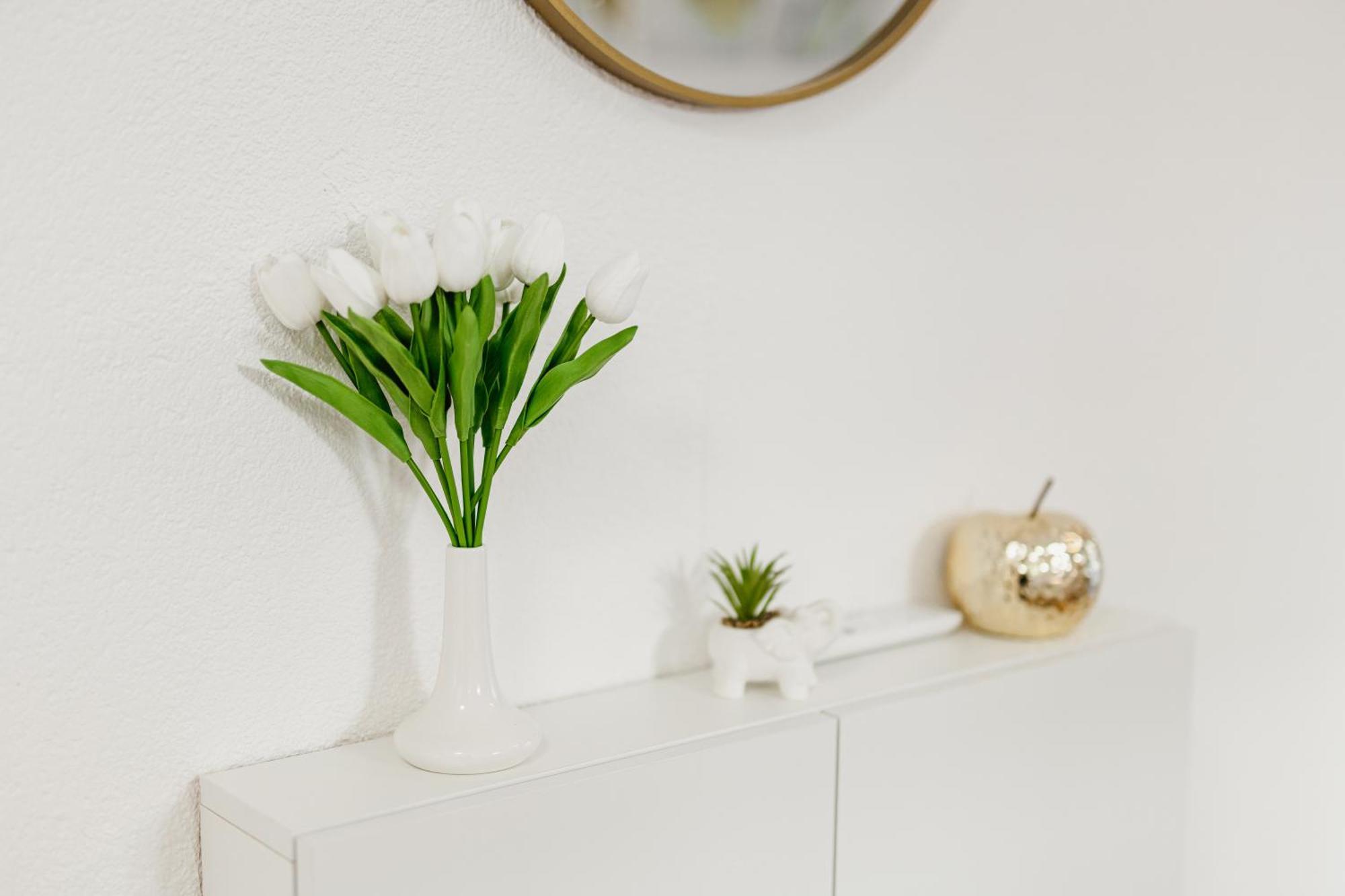 Andrea Lux Apartman Kotor Kültér fotó